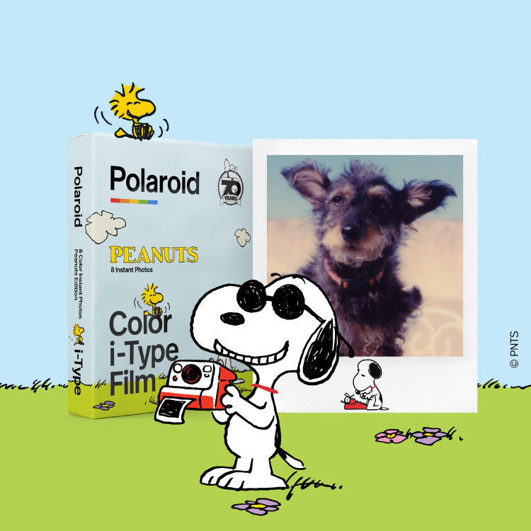 Polaroid & Peanuts 70th anniversary edition Polaroid EU